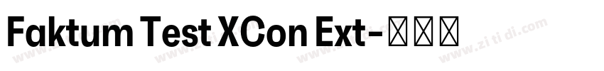 Faktum Test XCon Ext字体转换
